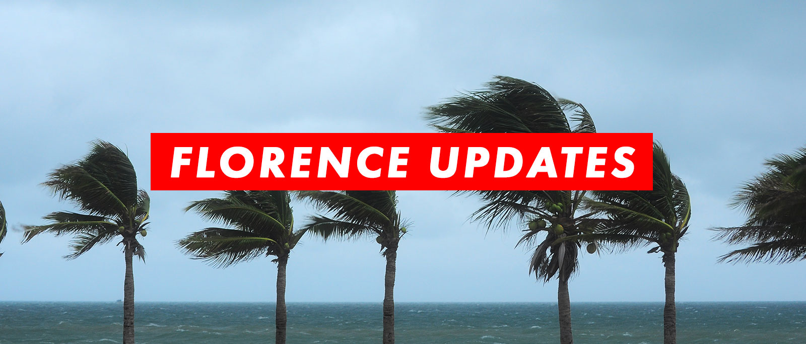 florence-updates