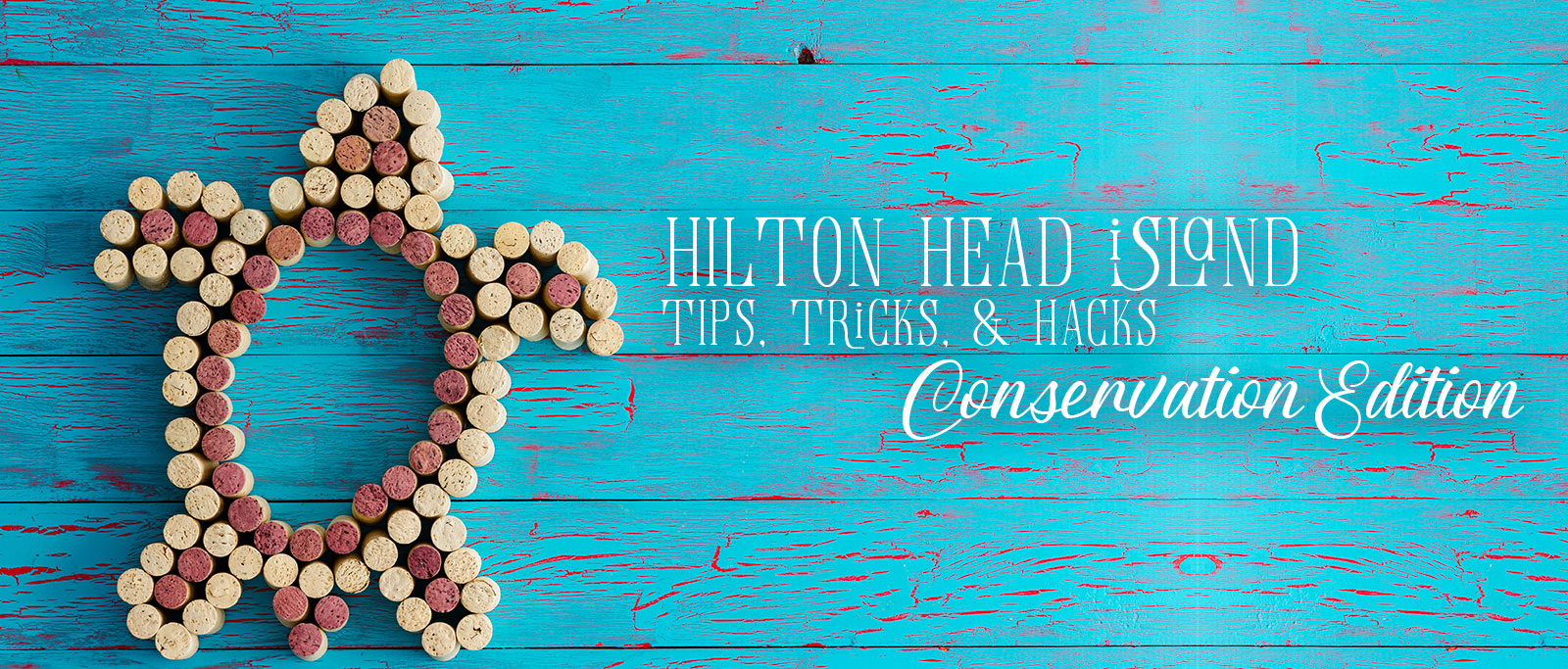 hilton-head-islandcast-episode-29-conservation-edition